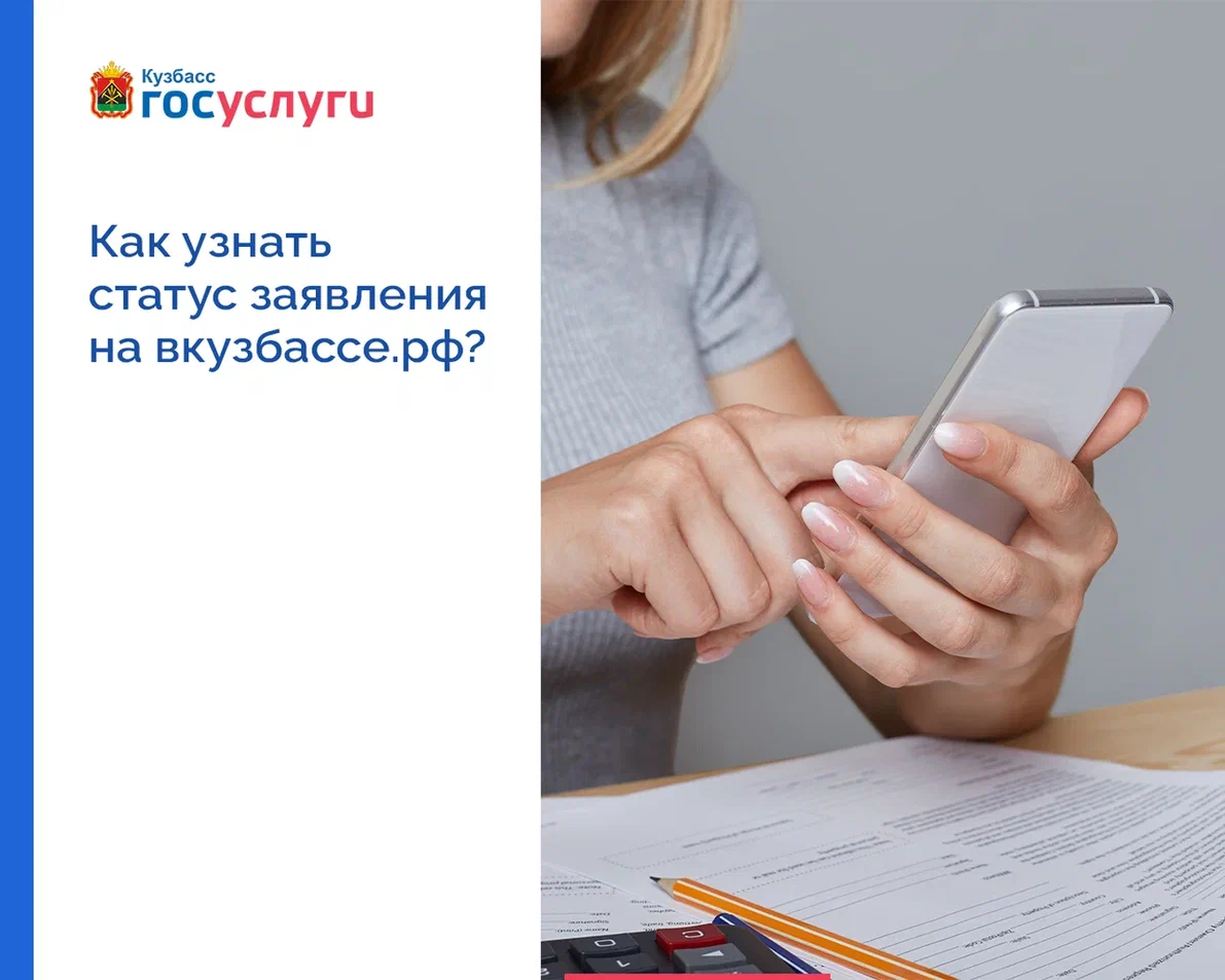 Как узнать статус заявления на РПГУ.png